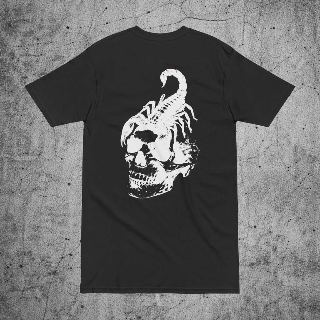 Skull and Scorpion